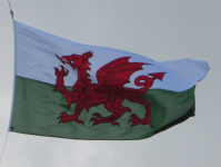 Walisischer Drache (Wales)